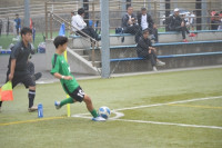 s-DSC_0531