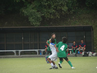 DSC00884