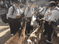 ３年生_３年生連絡_小田　祐太郎_HP写真_3