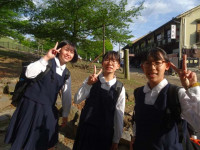 DSC04331