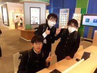 IMGP2242