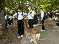 DSCN1185