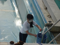 s-DSC08716