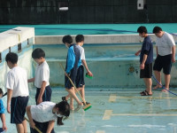 s-DSC08727
