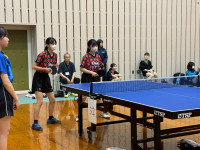 TBGZ0499