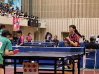 VJZS6217