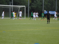 DSC01081