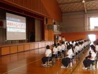 IMGP0382