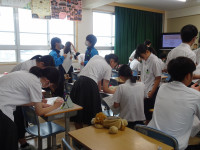 DSC05045